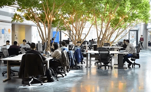 campus view with trees